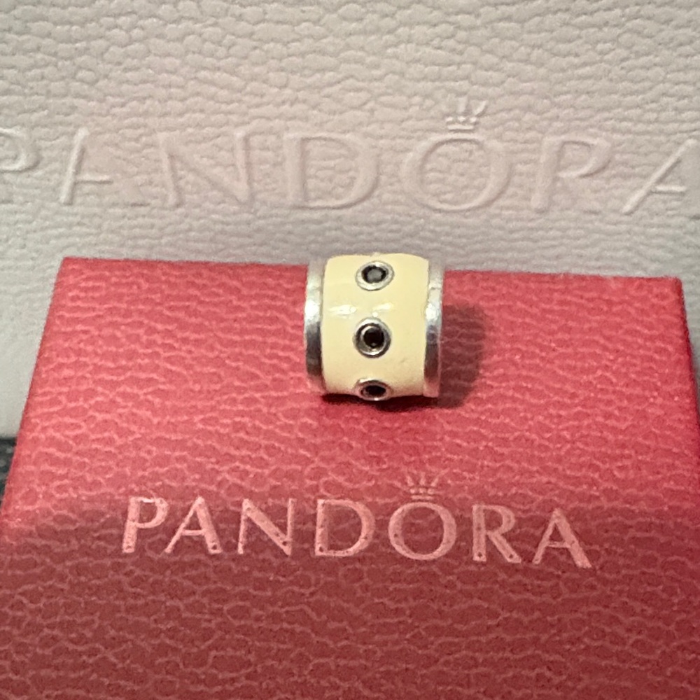 Pandora Ivory and Silver Charm with Black Accents